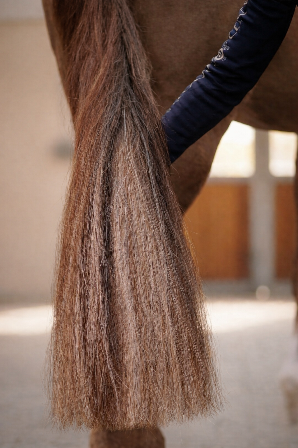 Staart Uitleg & informatie | Equi-Tails