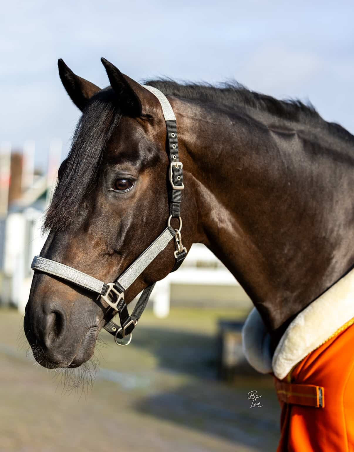 Clip-in voorpluk Natural Black